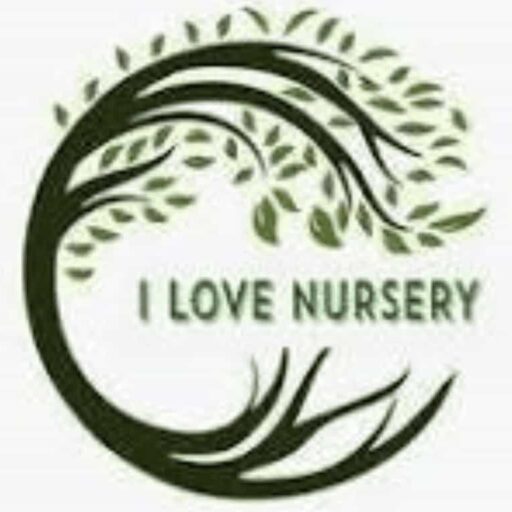 I Love Nursery Logo