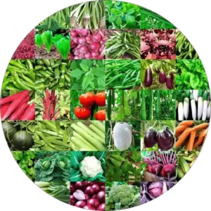 High quality vegetable seeds packet for home gardening