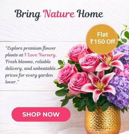 Climbing flower plants with colorful blooming vines on support