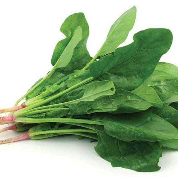 Spinach - Organic Vegetable Seeds