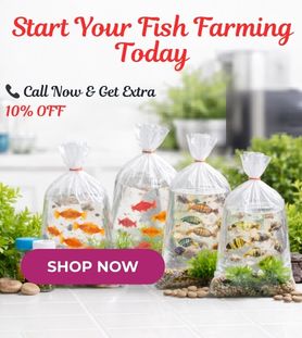 Fish seeds in water bags for aquaculture farming