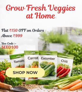 Vegetable seed packets with fresh vegetables display